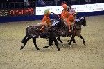Quadrille - 00041